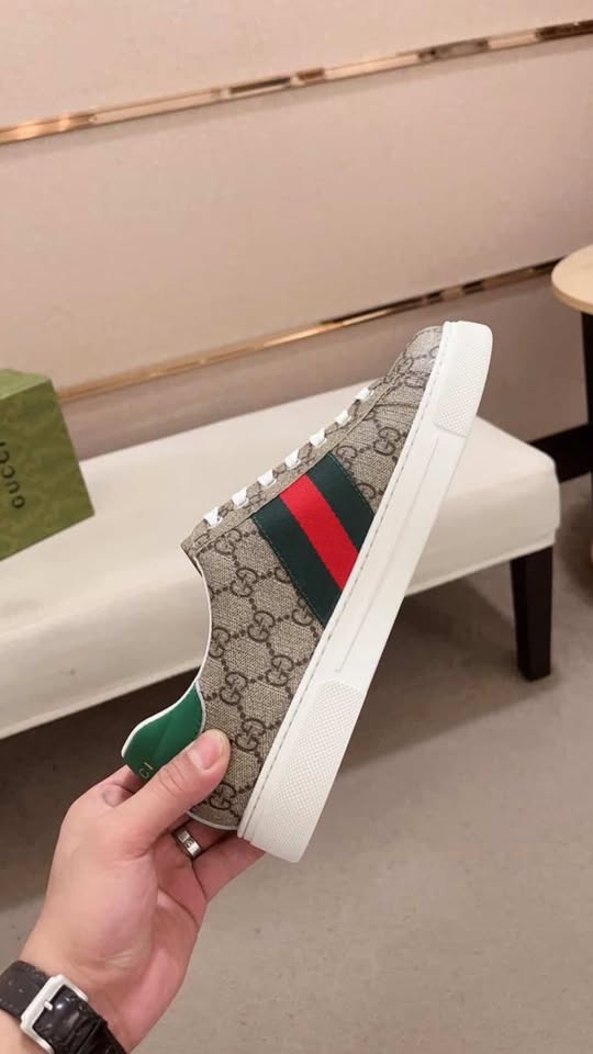 Gucci Ace Trainer